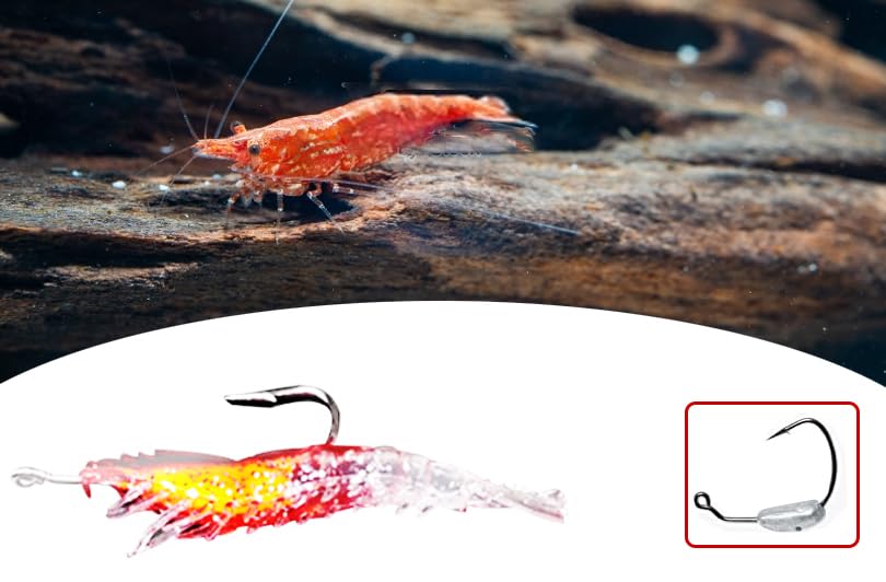 ARAGONT Jig Head Hook Shrimp Lure Sea Bass Blue Fish