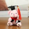 Funny Cute Graduation Bear Plush Toy Soft Stuffed 12cm Bear Keychain Blessing Hanging Dr Bear Doll Desk Decor
