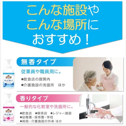 [Large capacity] KireiKirei Medicated Foam Hand Soap Pro Unscented 550mL