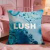 Brand Logo LLush Cushion Cover Premium Comfort Reversible Pillow Cove Two In One Design For Any Room  Car Interior