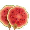 Hand-Painted Watermelon Round Fan – Summer Cool Gift for Bestie, Perfect Warm-Up Prop