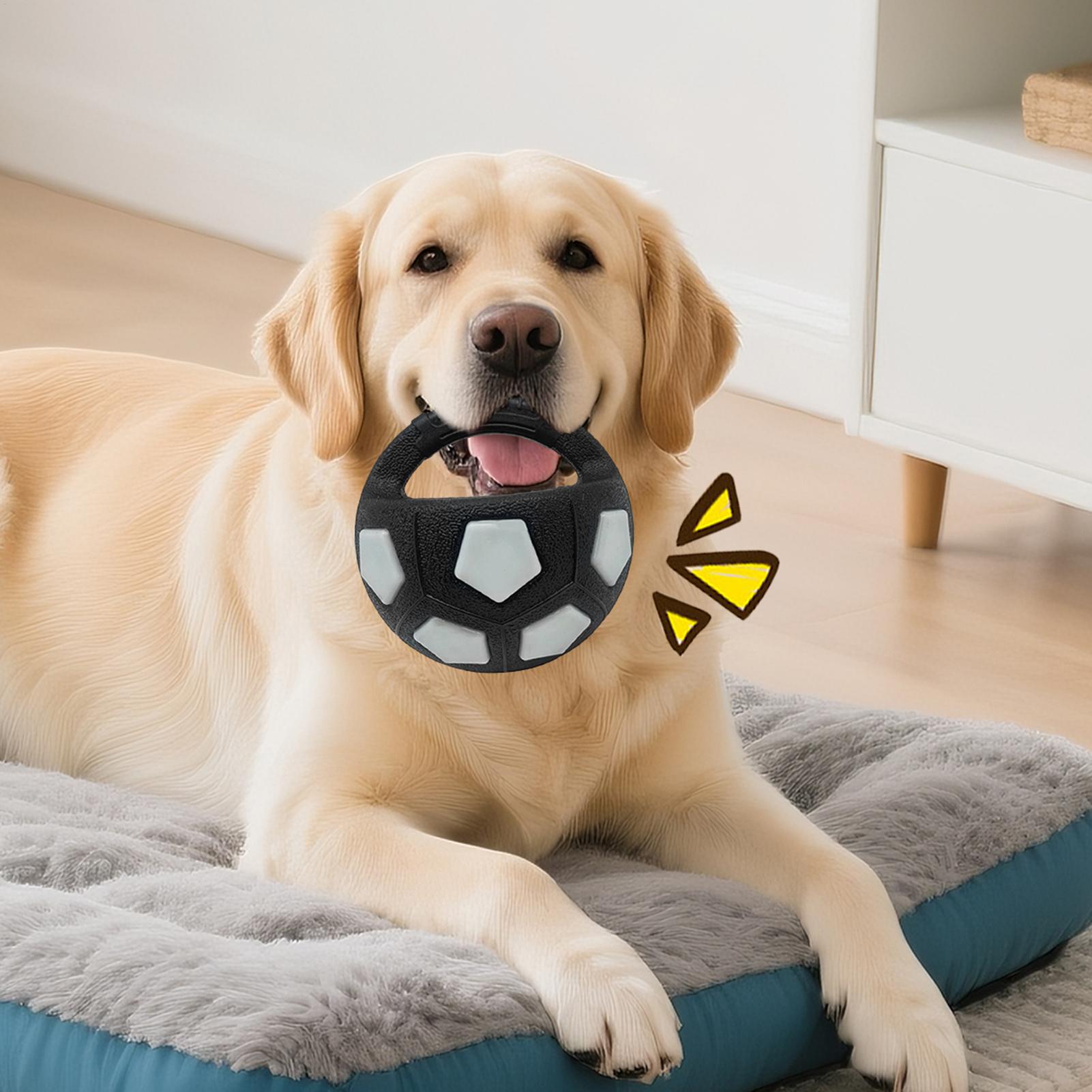 Dog Soothing Ball with Handle Interactive Squeaky Chew Ball Toy Dog Training Football for Puppies Chewers Breeds Play CN