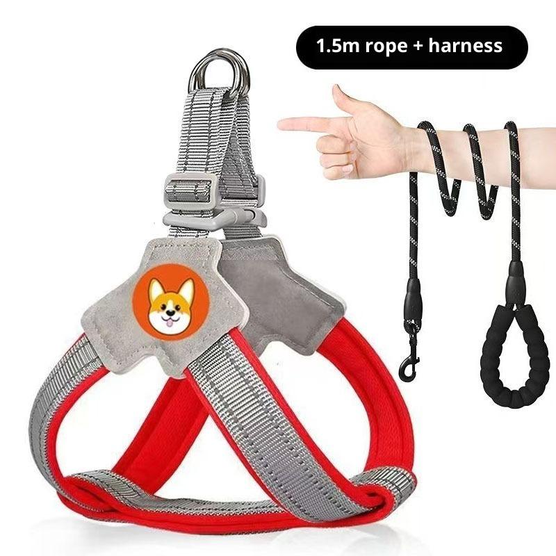 Köpek Tasması Yelek Tipi Evcil Hayvan Göğüs Kayışı Köpek Gezdirme Tasması Küçük ve Orta Boy Corgi Ayı Teddy Tasması