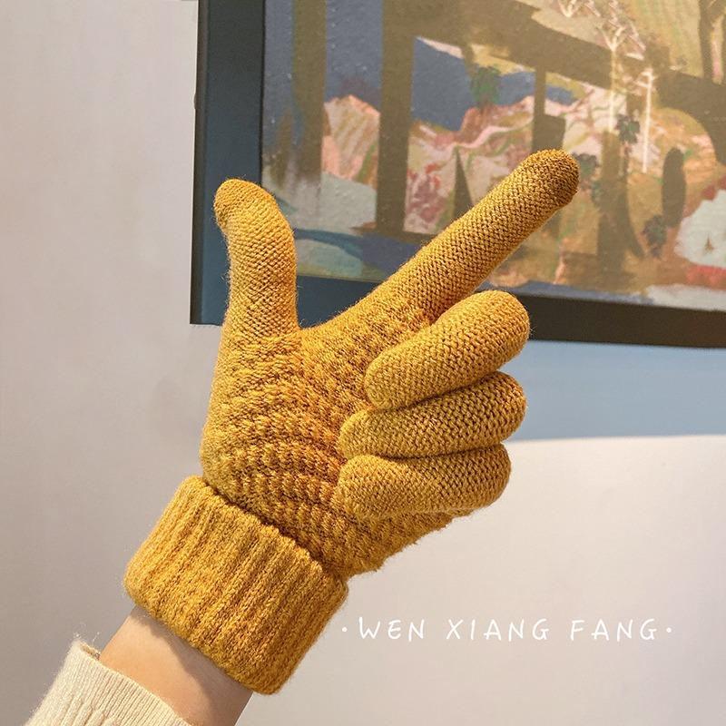 Autumn and Winter Warm Gloves Student Wool Knitted Thickened Velvet Cold Protection Riding Jacquard Finger Gloves Touch Screen Female