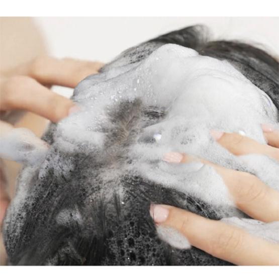 Atomy Root Vital Shampoo 500ml