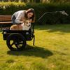 Cycle Trailer with Cargo Box Detachable Bike Utility for Camping