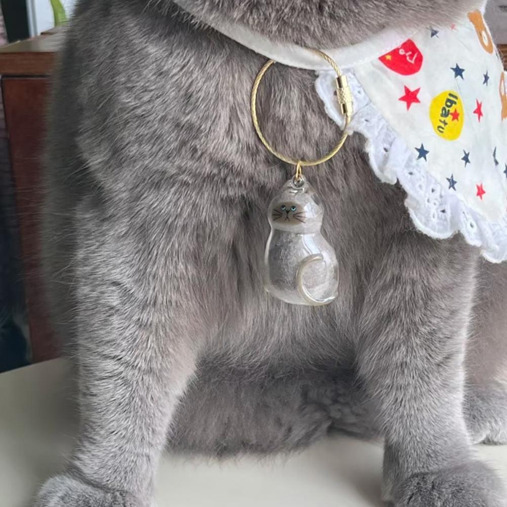 1/6pcs Kawaii Cat Hair Storage Box Transparent Pet Hair Keepsake Pendant for Pet Memorial Healing Pendant Cat Lover Keyring Accessory