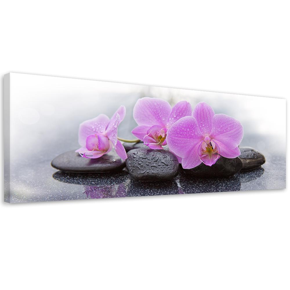 Canvas Print, Pink Orchids and Stones