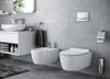 Standing/Wall-Mounted Toilet Brush