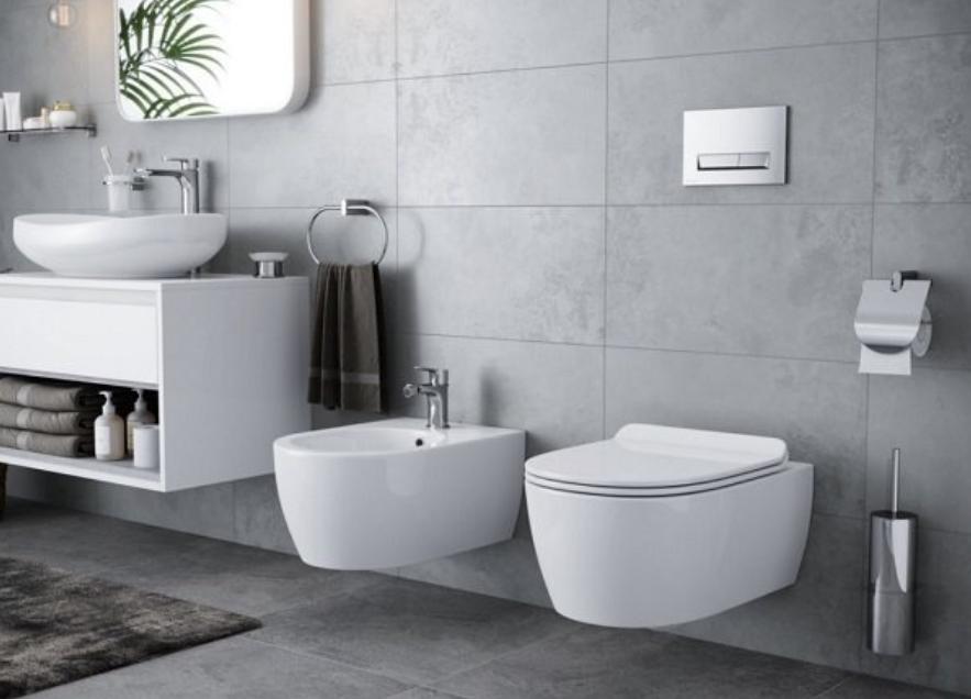 Standing/Wall-Mounted Toilet Brush
