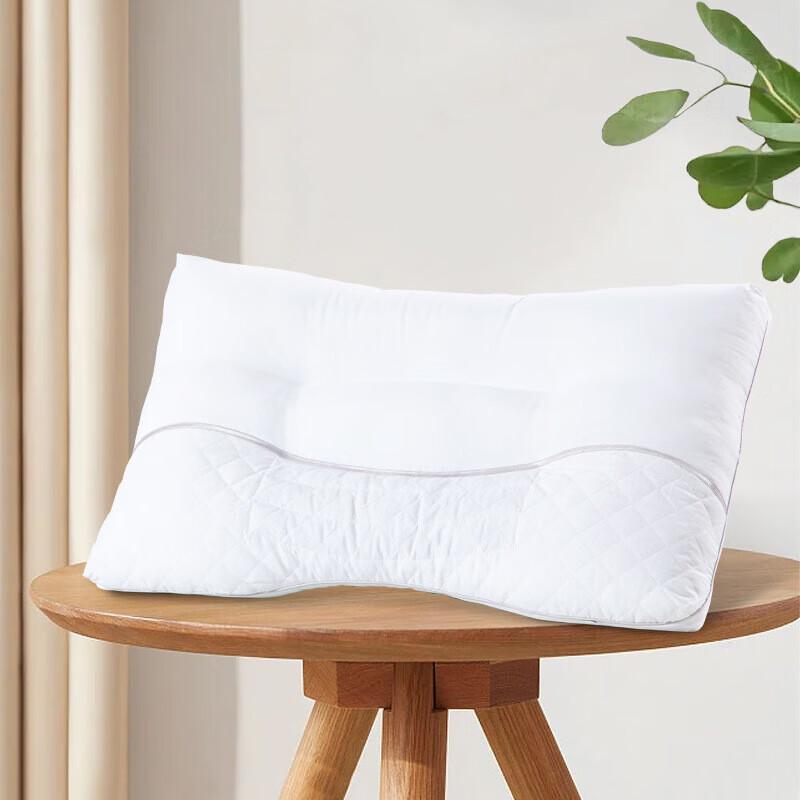 Mercury Home Textiles Cassia Seed Antibacterial Pillow