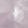 Mu Xinzi Satin Jacquard Silk Blend Winter Quilt