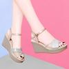 Sandals Female Summer New Fairy Style High Heel Wedge Waterproof Table Wear Thick Sole Word with Fashion Fish Mouth Shoes