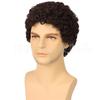 Synthetic Realistic Big Curly Wigs for Men Black Fluffy Elastic Curls Hair Short Afro Wig Daily Breathable Man Wig Daily Cosplay