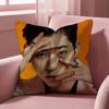 Z-ZICO SINGER Cushion Cover Multi-Scene Pillow Cover for Home & Car - Reversible, Soft & Durable for Daily Use