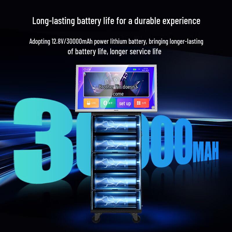 PHILIPS SD809 Professional KTV Karaoke Speaker System