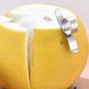 Orange Peeler Stainless Steel Ring Shape Versatile Portable Citrus Peeler Kitchen Supplies S