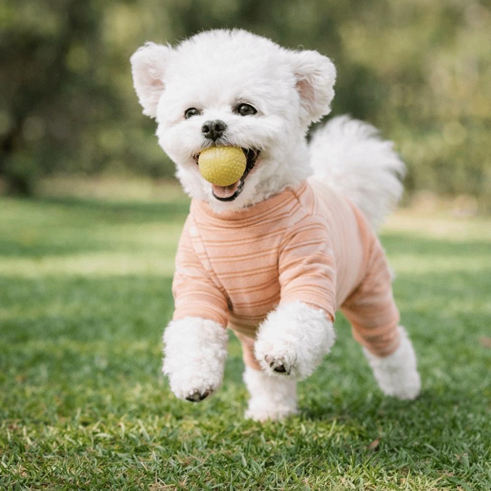 Comfortable Dog Striped Jumpsuit Four-legged Dog Pajamas Pet Belly Cover  Daily Wear