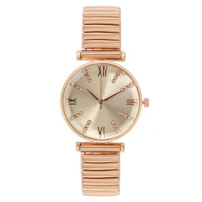 Fashion Roman Ladies Watch Women's Watch Elastic Strap Quartz Watch