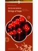 Spring Festival Red Lantern String Lights for Home, Balcony & Courtyard Decorations