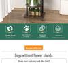 Indoor Floor-Standing Multi-Layer Iron Flower Pot Rack - Light Luxury for Living Room & Balcony