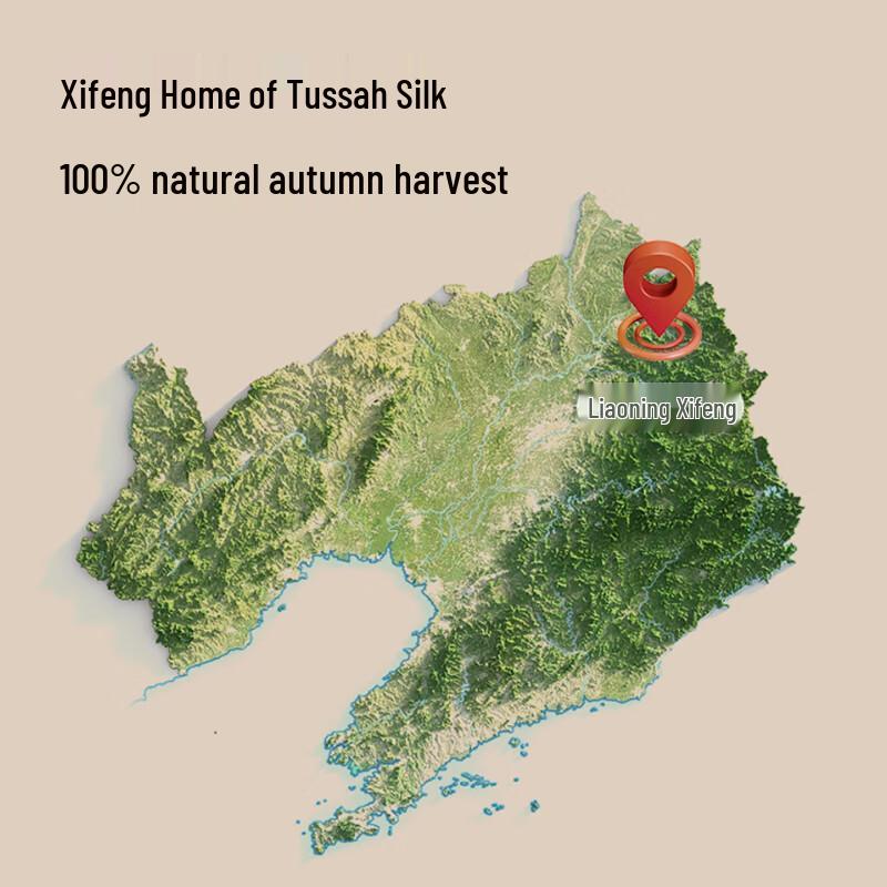 Jingdong Jingzao Four Seasons Silk Quilt
