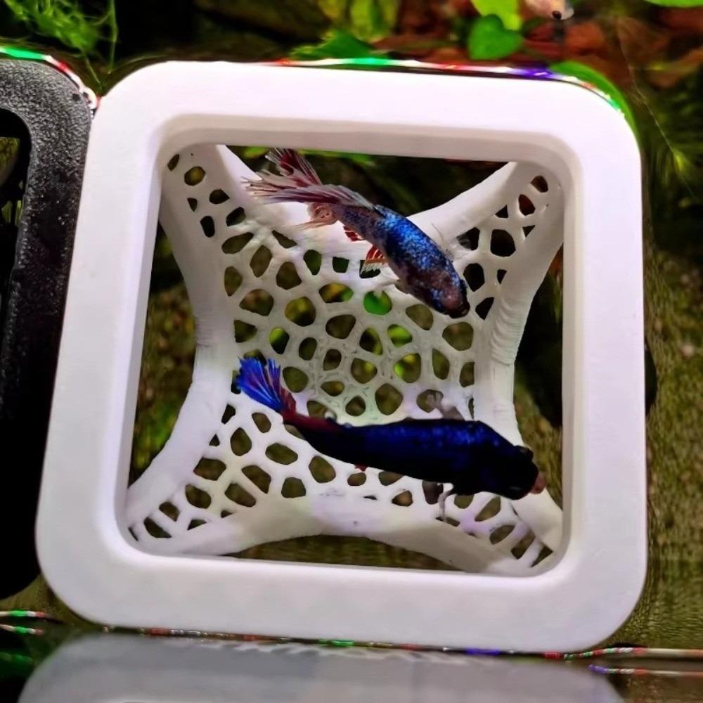 Ornamental Habitat Fish Refuge Caves Aquarium Tunnel Shrimp Hiding Places  Fish Tank Decoration