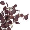 Hill Interiors Berried Eucalyptus Artificial Flower