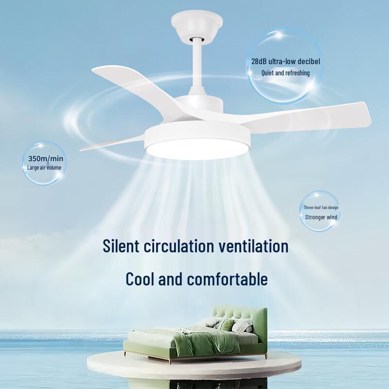 Oeny Full Spectrum Ceiling Fan with Light