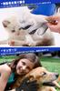 LINECY Pet Brush Gloves Brushes 1 Pet Grooming Gloves for Pet Grooming Hair Removal Pet Hair Removal Cat Hair Cat Bath Use 1 Pair [259 & Pair] Cats,