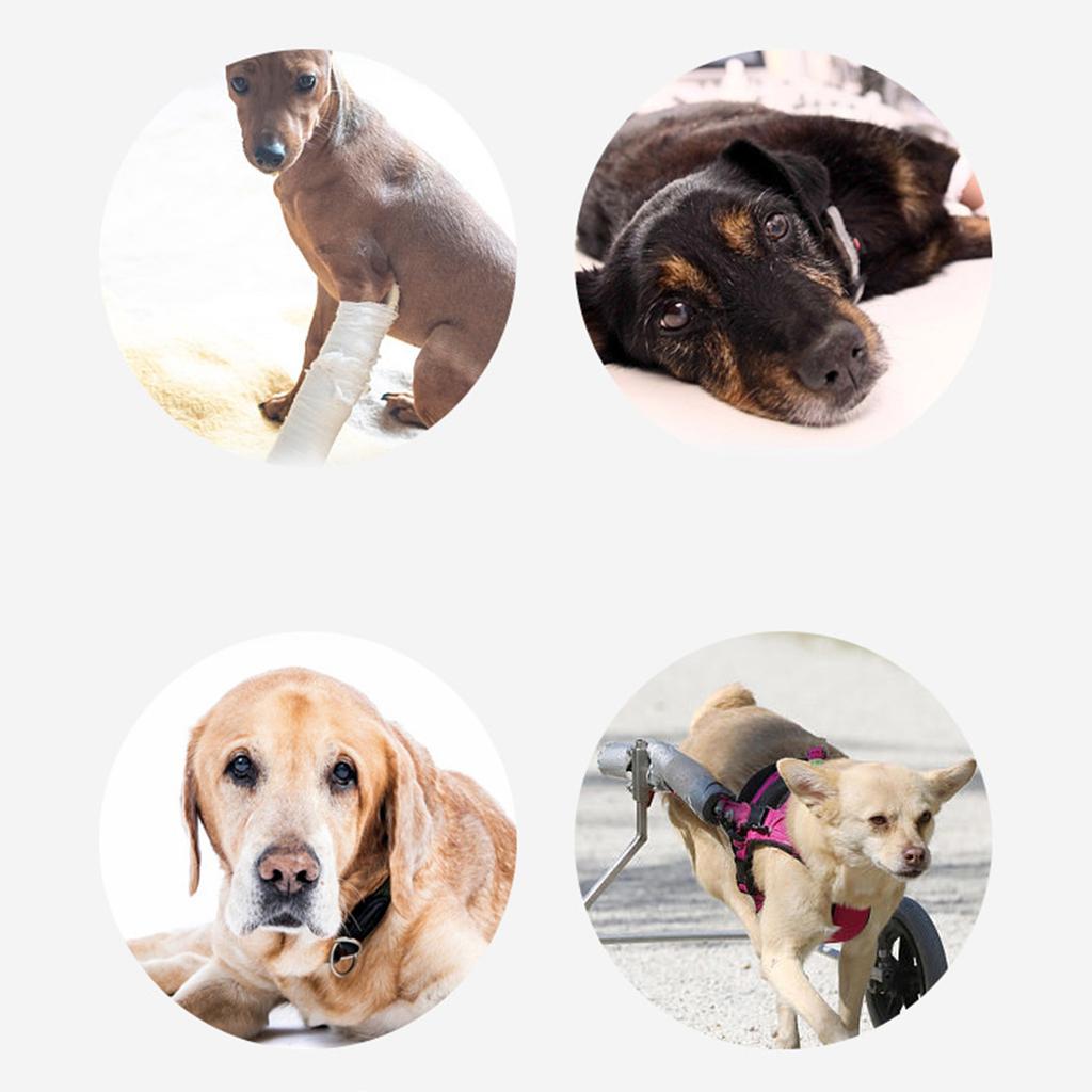 Hundelift-Geschirr, verstellbar, Hundeschlinge, Hüftstützgeschirr, Hundetrageschlinge für die Mobilitätshilfe für Hunde