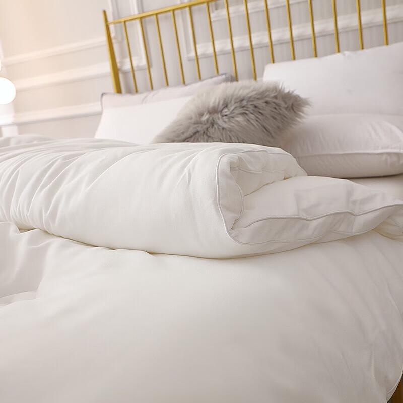 Goyuanqi Loen Energy-Gathering Warm Winter Duvet
