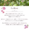 House of Rose La Rose Body Soap RG 250mL Body Wash, Fresh Rose Scent