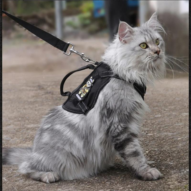 5-piece Set Light Tactical Cat Harness Summer Pet Outdoor Walking Supplies for Small Dogs Cats Breathable Kitten Puppy Harnesses