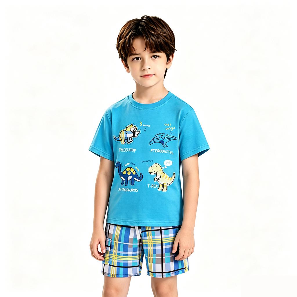 Boys' 2-Piece T-Shirt and Shorts Set Summer Casual Outfit for Daily Wear