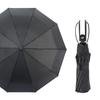 10 Ribs Automatic Travel Umbrella Auto Open Close Compact Folding Rain Windproof