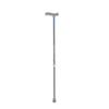 Elderly Trekking Pole Lightweight Foldable Aluminum Alloy Adjustable Length 4-Section Climbing Walking Hiking Travel Plastic