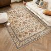 French Style Rugs for Bedroom Large Area Living Room Decoration Carpet Thick Anti-slip Study Floor Mat Fluffy Soft Cloakroom Rug