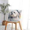 Maltese Dog Art Pillowcase Polyester Cushion Comfort Throw Pillow Sofa Decorative Cushions Used for Home Bedroom Living Room