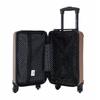 Wings Free Carry On Harrier Champagne Cabin Suitcase