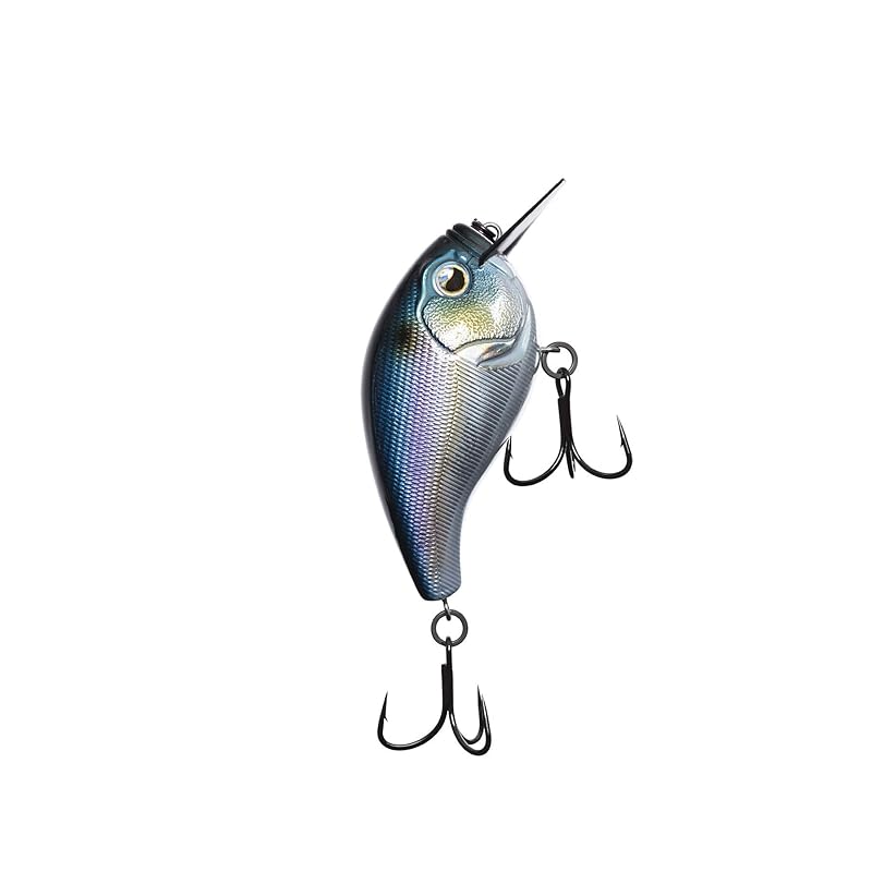

Scamp 1.5 – square building Fantasy Shad Scamp fantasy shad