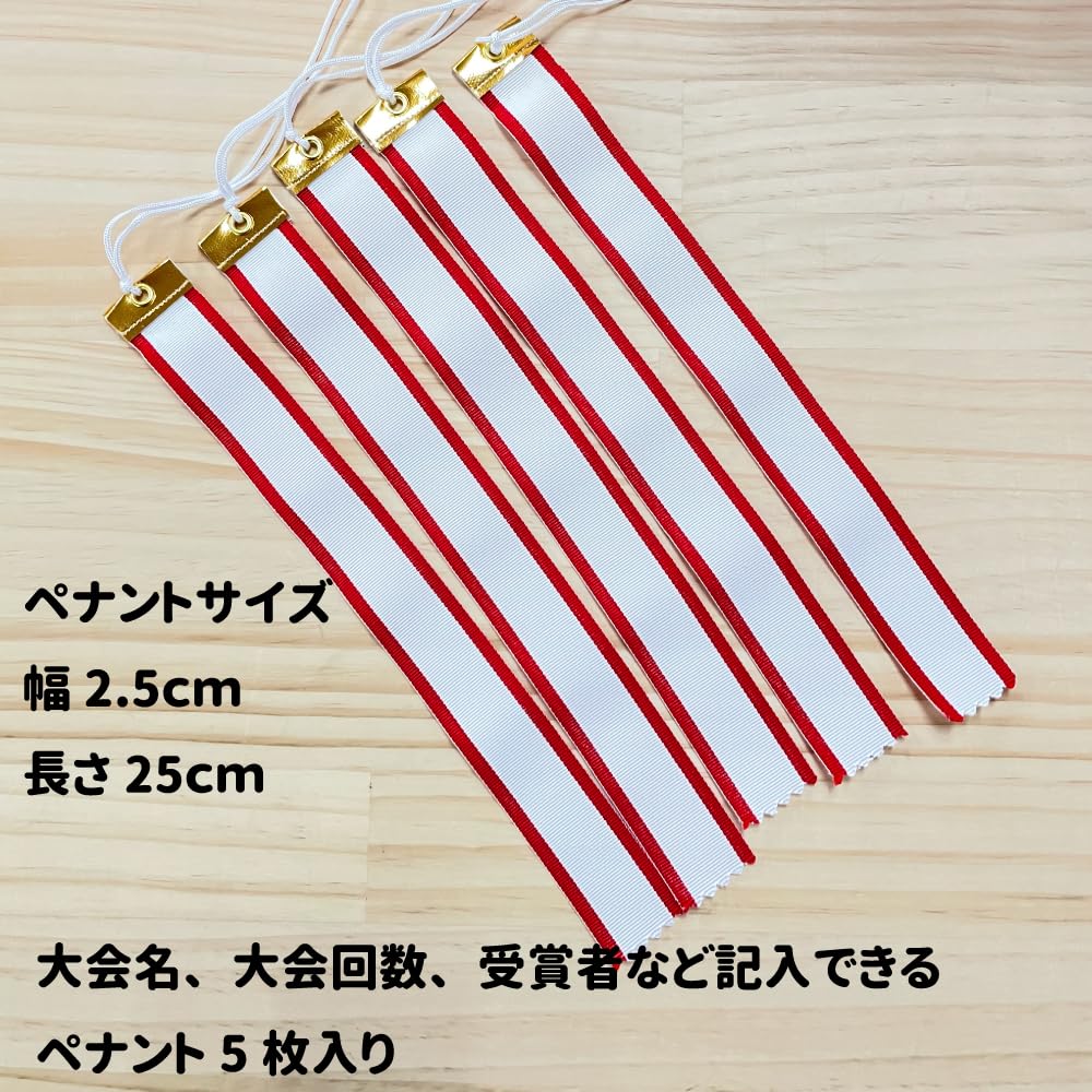 23.5cm Tall Resin Trophy with Victory Plate and 5 Pennants (CP-167A)