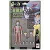 G.M.G. COLLECTION 10 Mobile Suit Gundam: Principality of Zeon Char Aznable Normal Suit Ver. Movable Figure