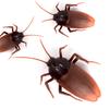 Infrared Remote Control Cockroach Prank Toy - Novelty Electric Pet Simulation for Kids