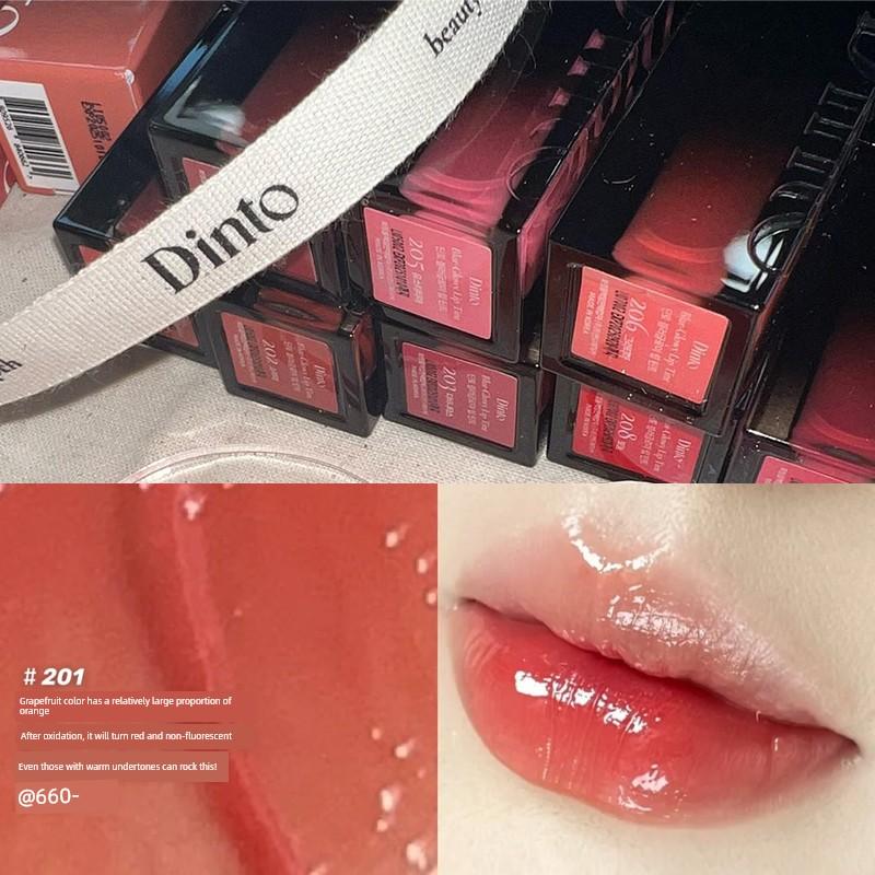 Wen Jiaying's Same Style Dinto Water-Glossy Mirror Lip Glaze Moisturizing and Hydrating 205/206/207/211 Niche Affordable Price