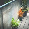 Balcony Cover, Terrace Mat, Awning, Fence, Shading Net 0.9×5m