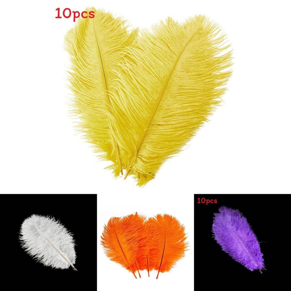 Luxuriöse natürliche Straußenfedern 12-14 Zoll für elegante Party-Tischdekoration
