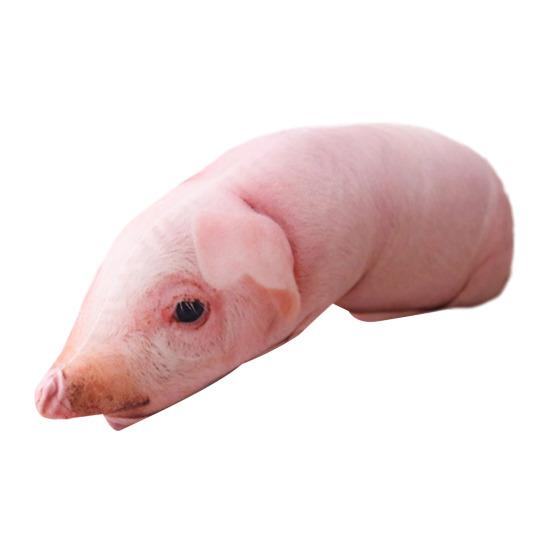 3D Realistisches Schwein Plüschkissen Lebensechtes Stofftier Streichgeschenk für Freund Lustiges Gag-Geschenk für Geburtstag und Weihnachten