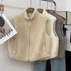 Winter New High-end Wear, Stand-up Collar, Granular Wool, Lamb Wool, Vest, and Small Fur Integrated