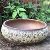 Personalized Large Ceramic Succulent Flower Pot with Wide Caliber - Free Shipping